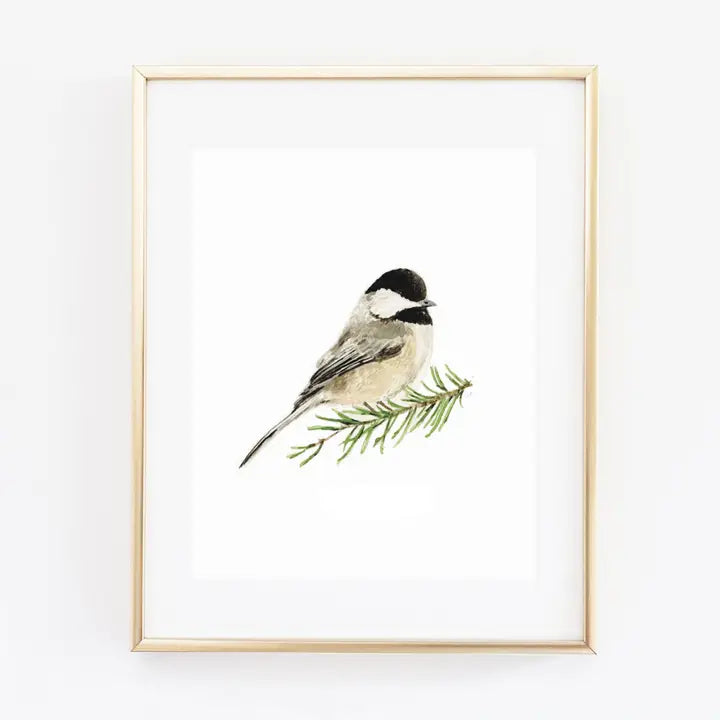 Chickadee Art Print