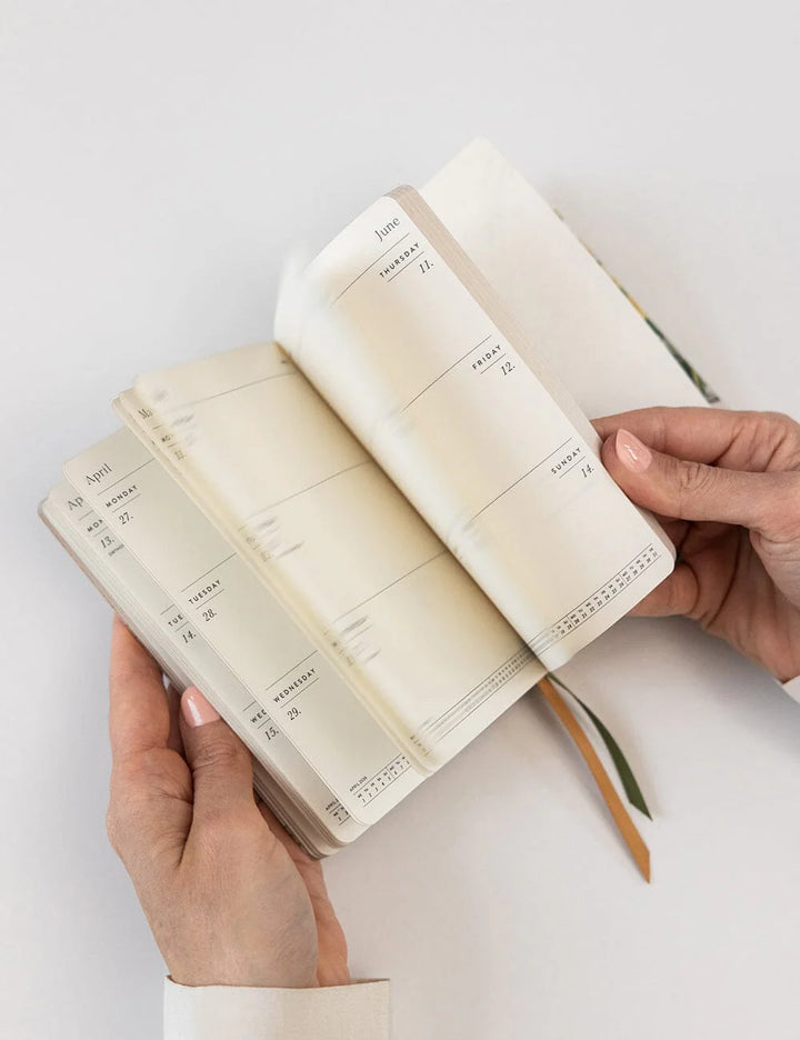 Person holding an open planner with a white background