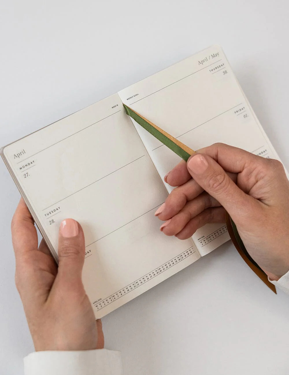 Person holding a planner with a green pen on a white background