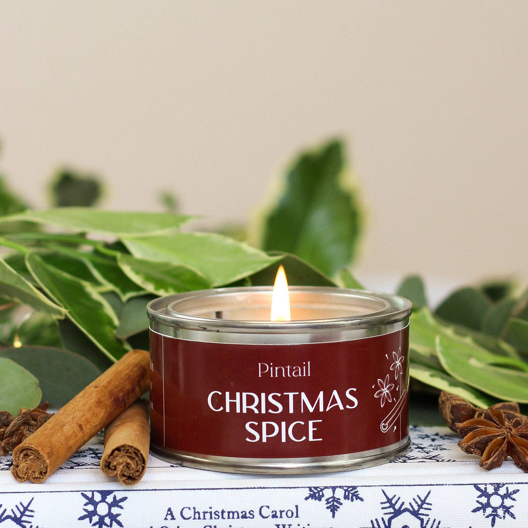 Pintail Christmas Spice Paint Pot Candle