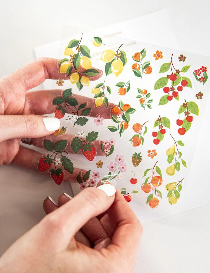 Hand holding a sheet of colorful fruit and berry stickers against a white background