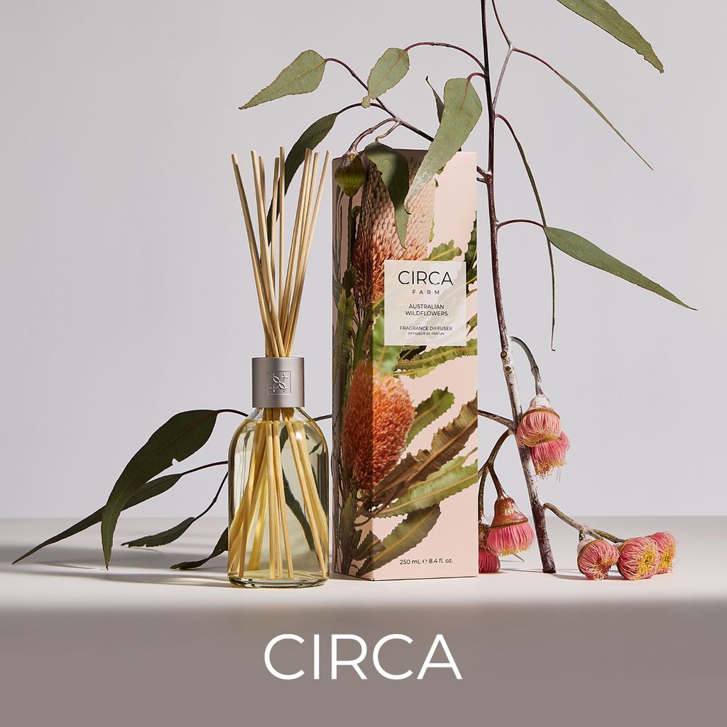 Circa diffuser and packaging with eucalyptus branches on a light background