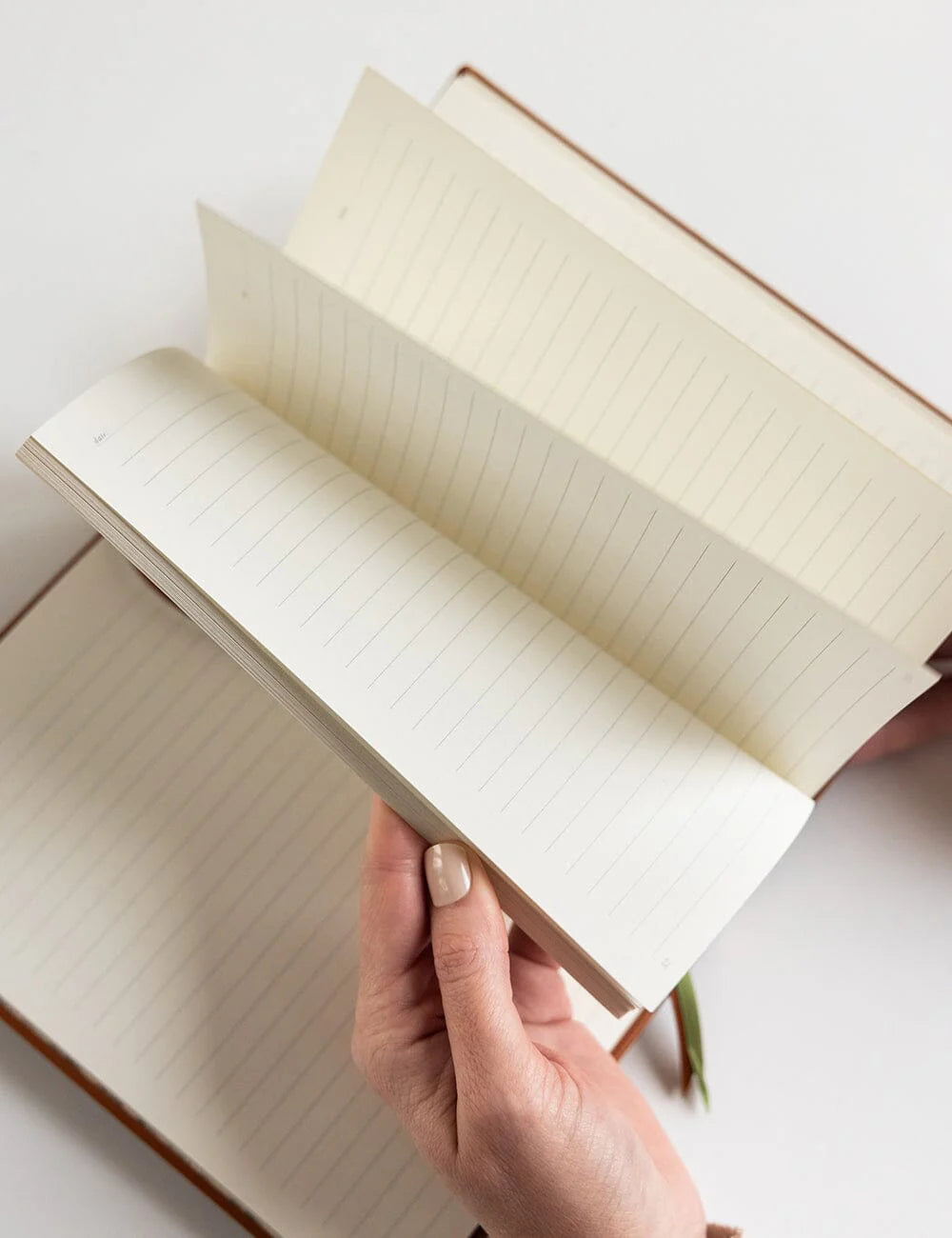 Open notebook with lined pages held by a hand on a light background