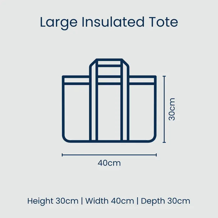 Large insulated tote with dimensions on a light gray background