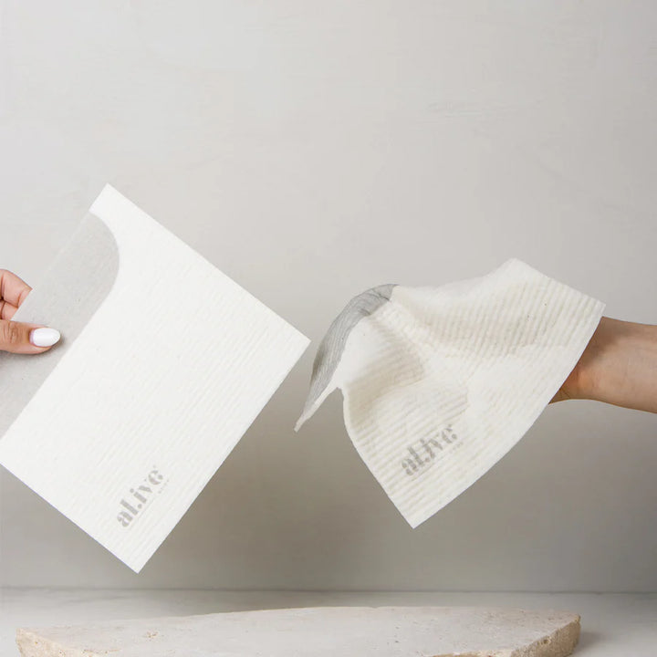 Biodegradable Dish Cloth Set