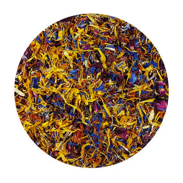 Dried mixed flowers on a white background