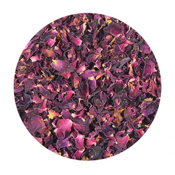 Dried purple and pink rose petals on a white background