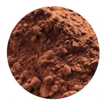 Close-up of cocoa powder on a white background