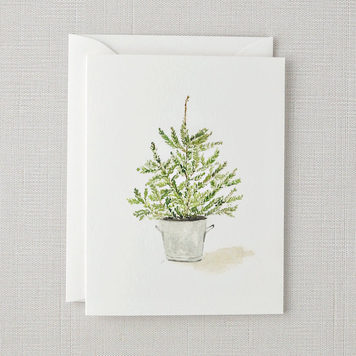 Evergreen Notecards