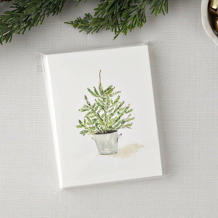 Evergreen Notecards