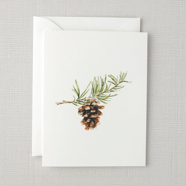 Evergreen Notecards