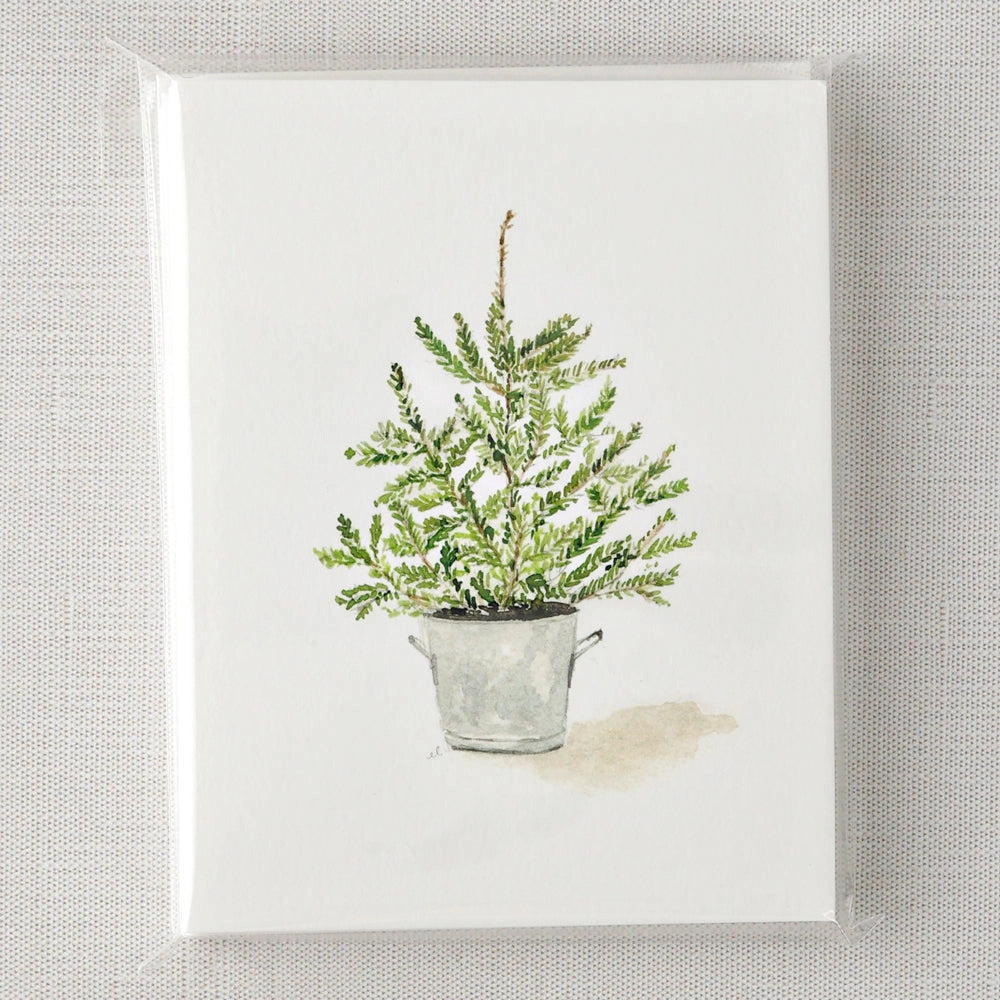 Evergreen Notecards