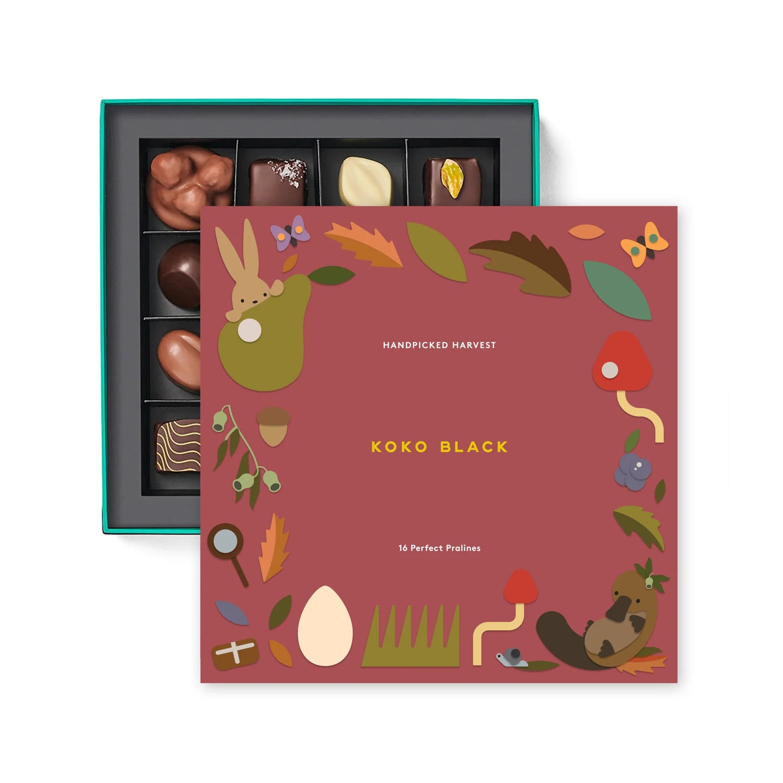 Box of chocolates with a colorful Koko Black packaging featuring illustrations.