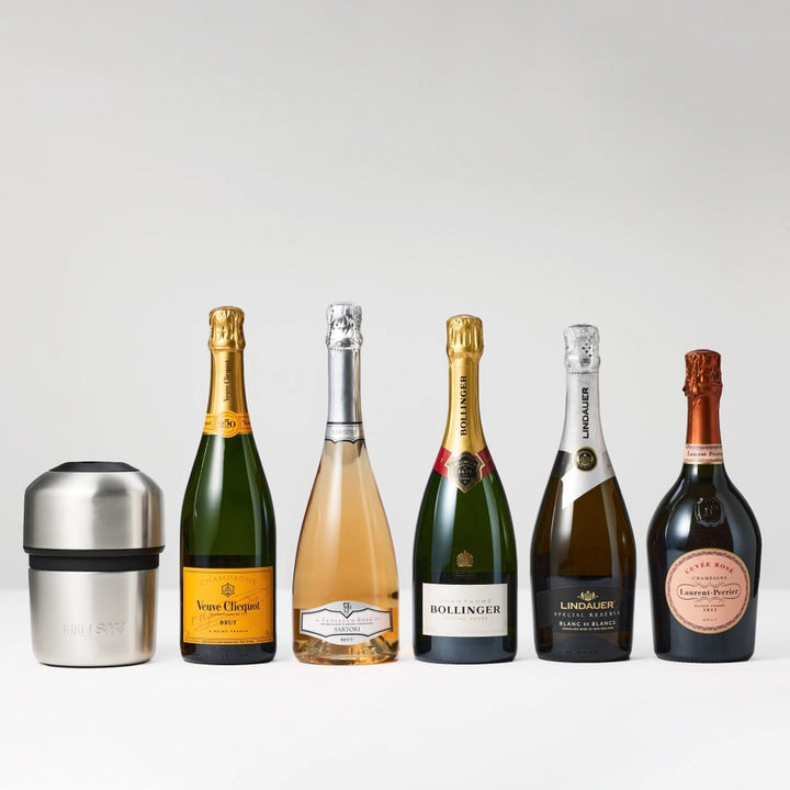 Collection of champagne bottles with a champagne cooler on a light gray background
