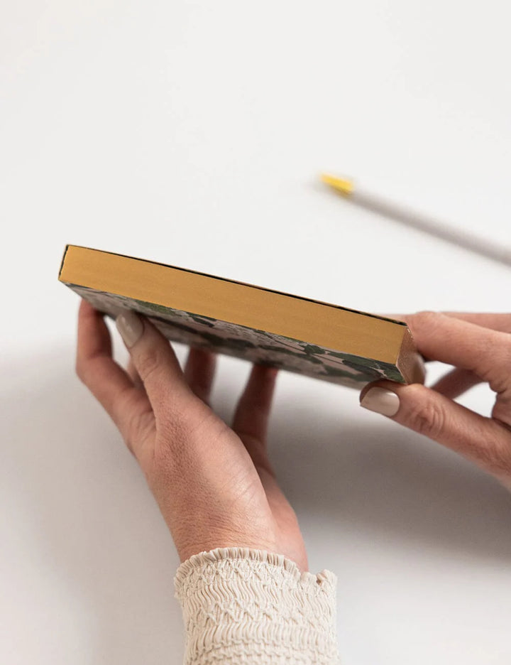 Person holding a book with a white background