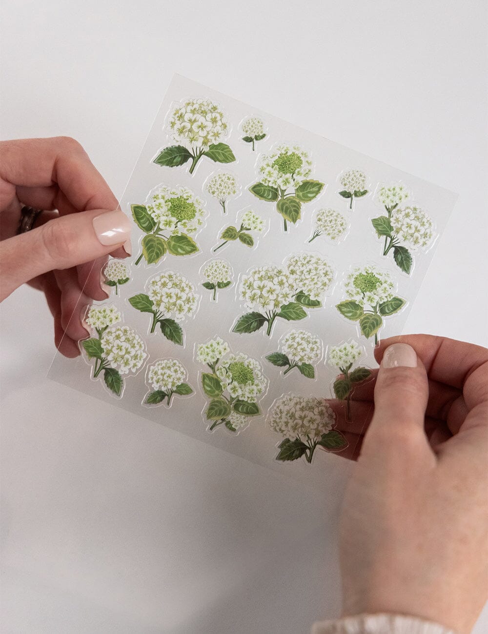 Hands holding a sheet of floral stickers with green and white flowers on a white background