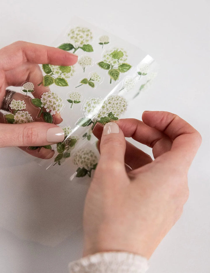 Hands holding a clear sheet with floral designs on a light background