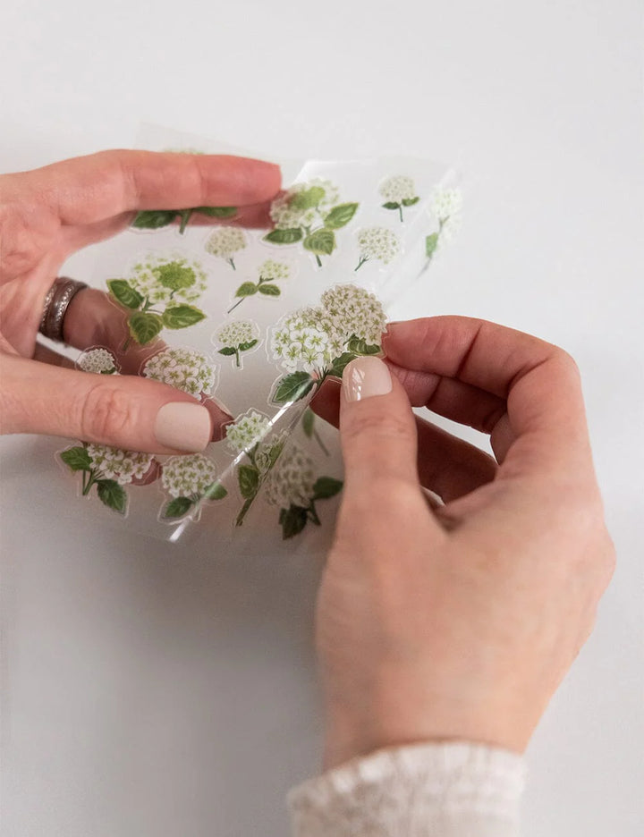 Hands holding a clear plastic wrap with floral pattern on a light gray background
