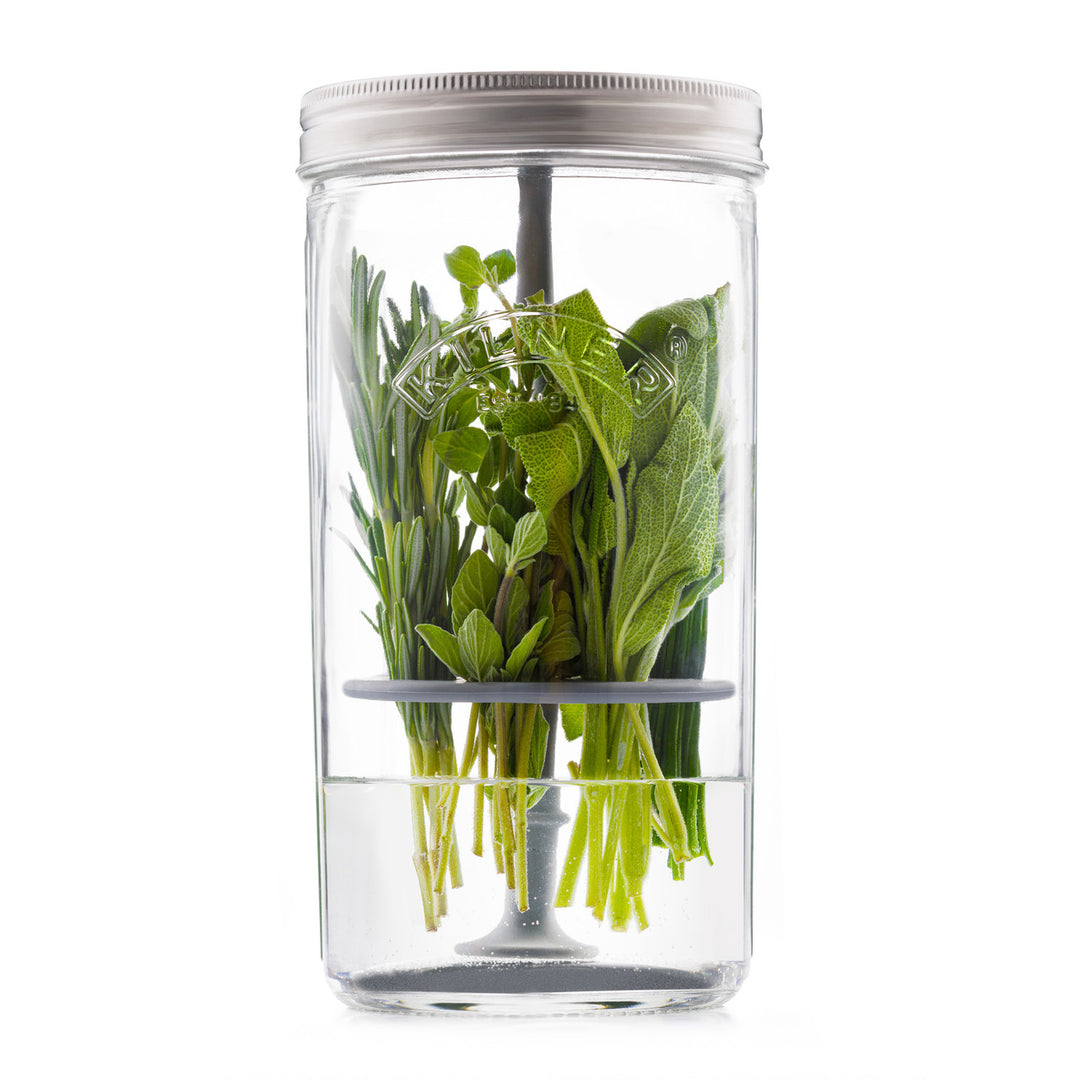 Clear glass container with silver lid holding fresh green herbs on a white background