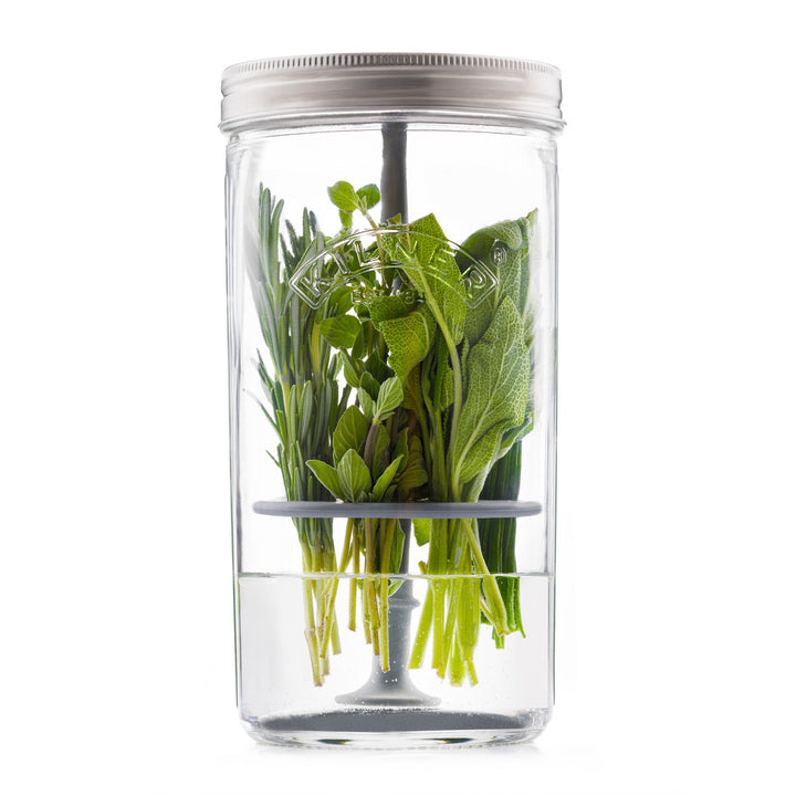 Clear glass container with silver lid holding fresh green herbs on a white background