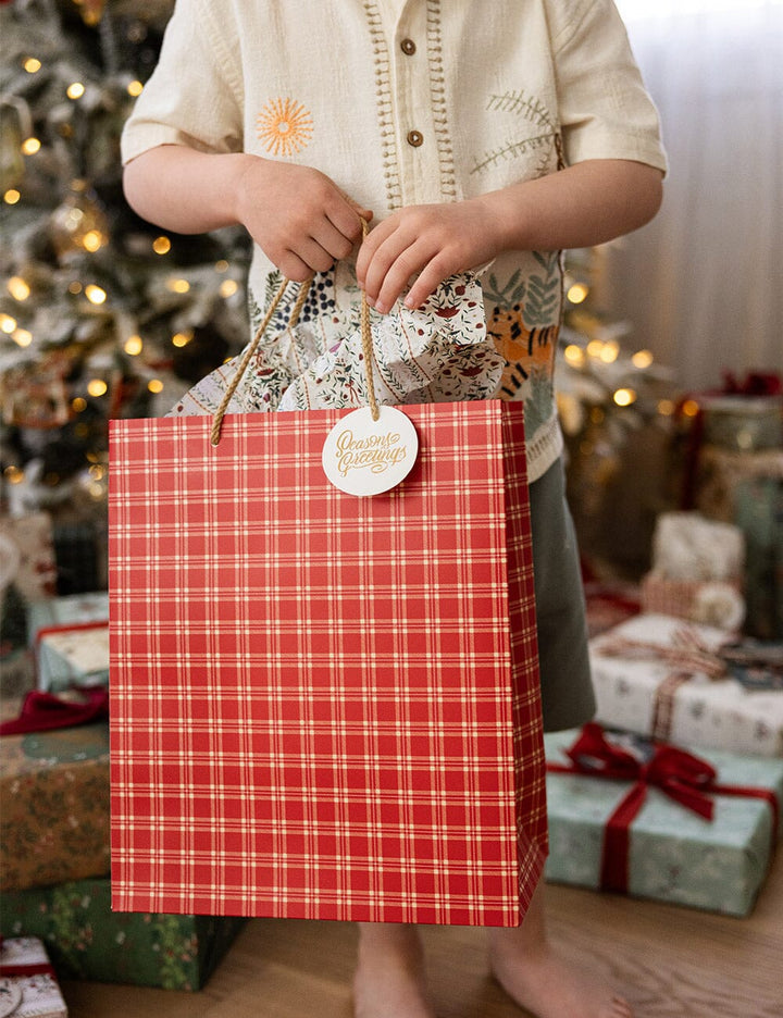 Person holding a red plaid gift bag with a Christmas tree and presents in the background