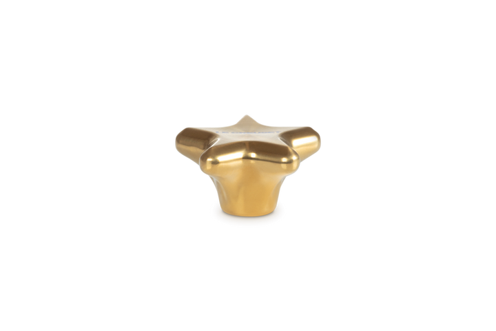 Le Creuset Gold Star Knob