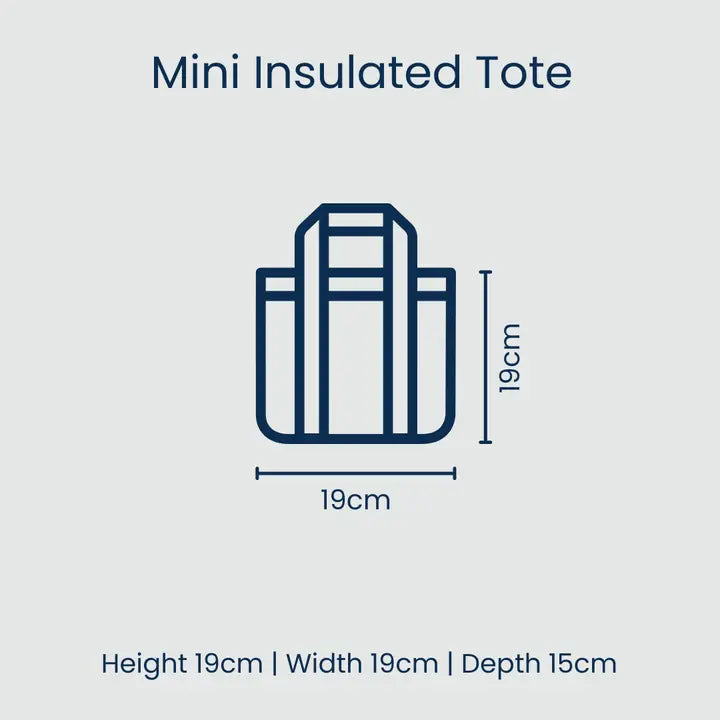 Mini insulated tote dimensions on a light gray background