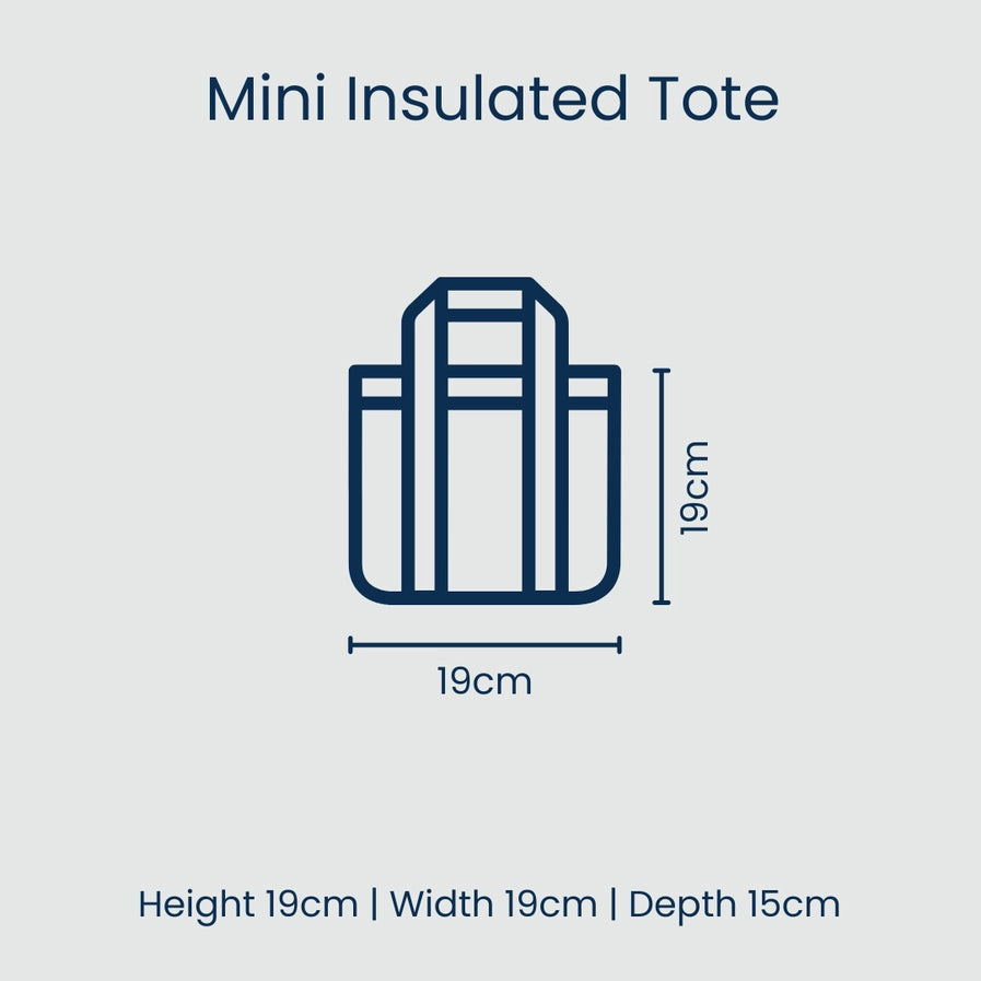 Mini insulated tote dimensions on a light blue background