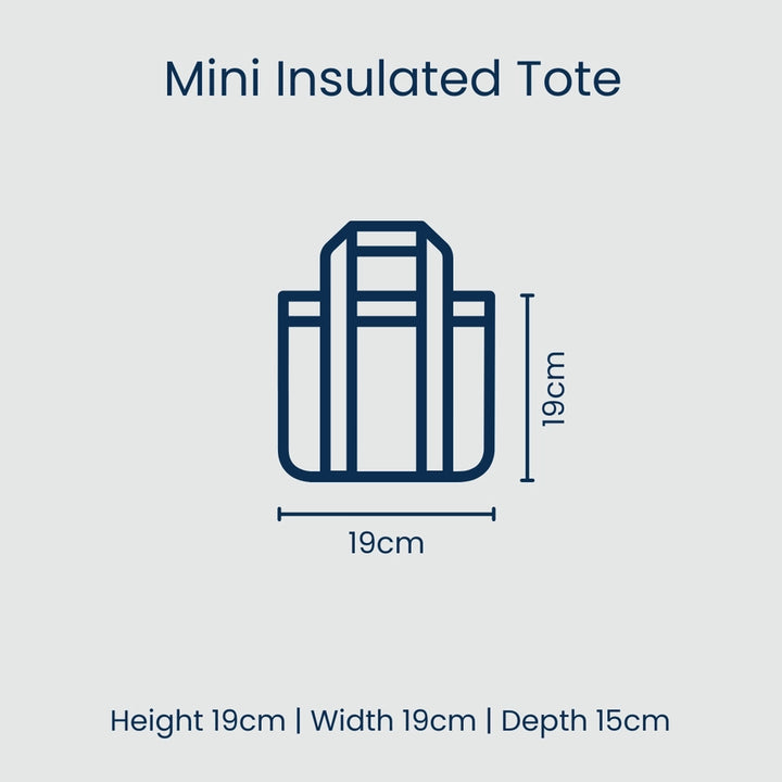 Mini insulated tote dimensions on a light blue background