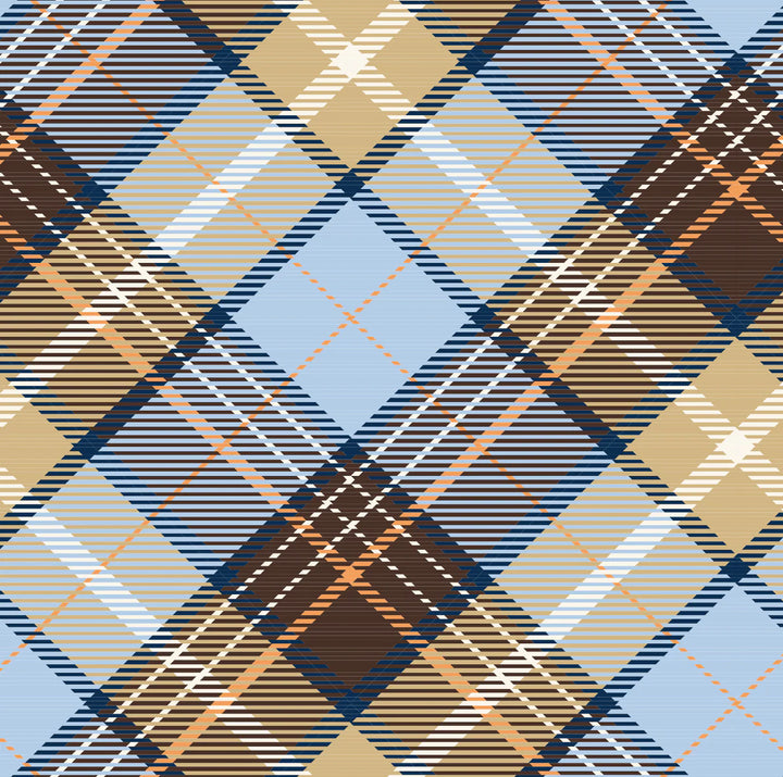 Medium Insulated Tote: Country Plaid