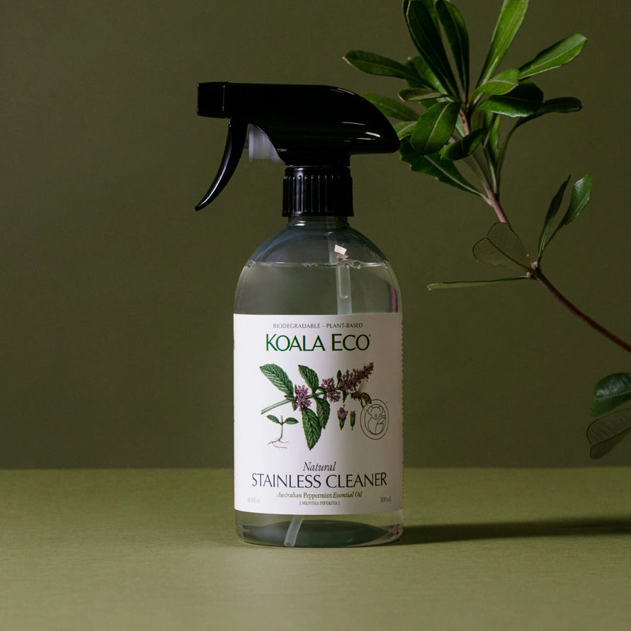 Koala Eco stainless cleaner bottle on a green background with a plant.
