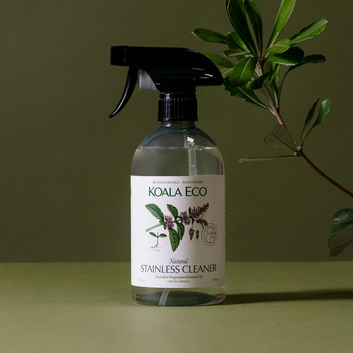Koala Eco stainless cleaner bottle on a green background with a plant.