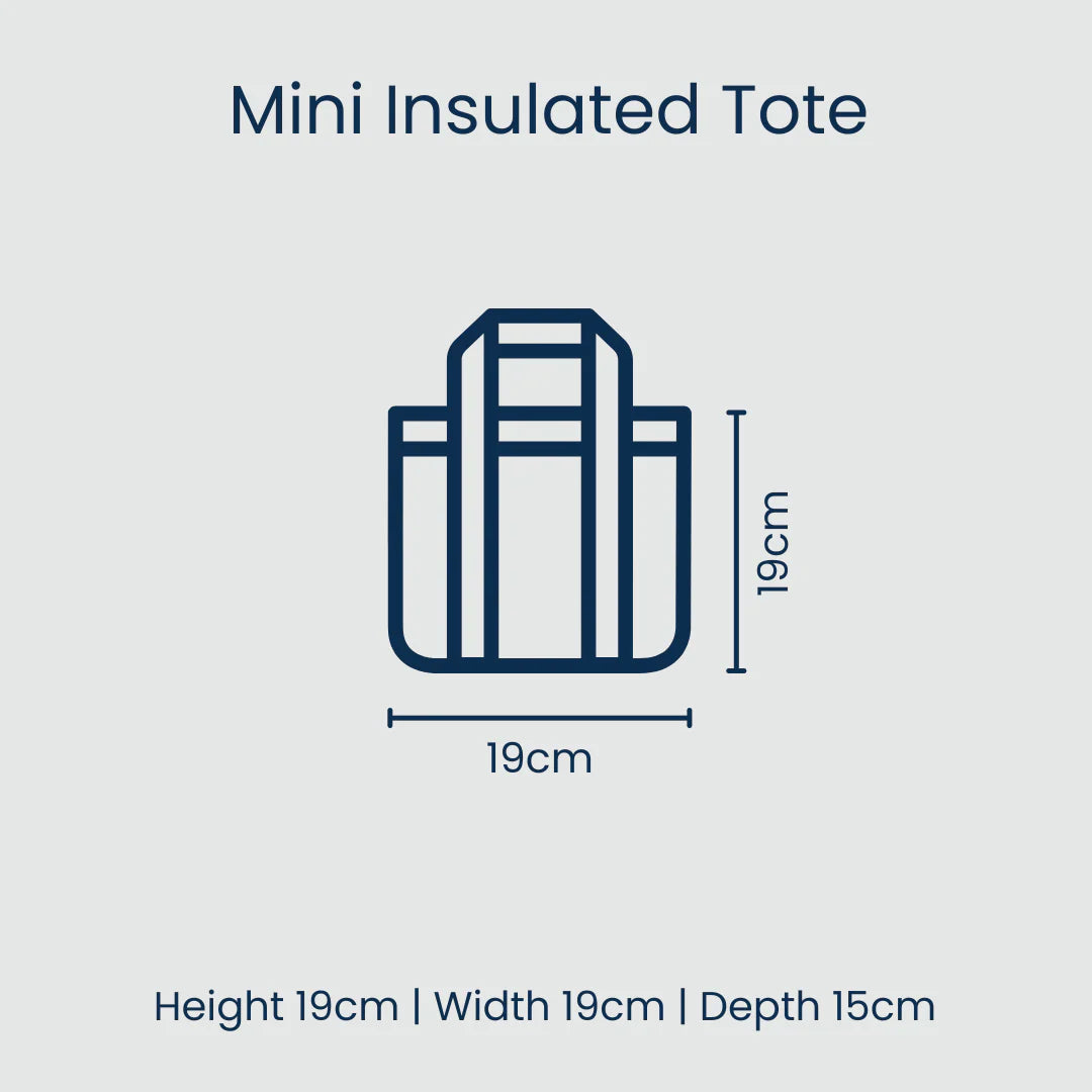 Mini insulated tote with dimensions on a light gray background