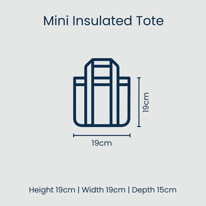Mini insulated tote with dimensions on a light gray background