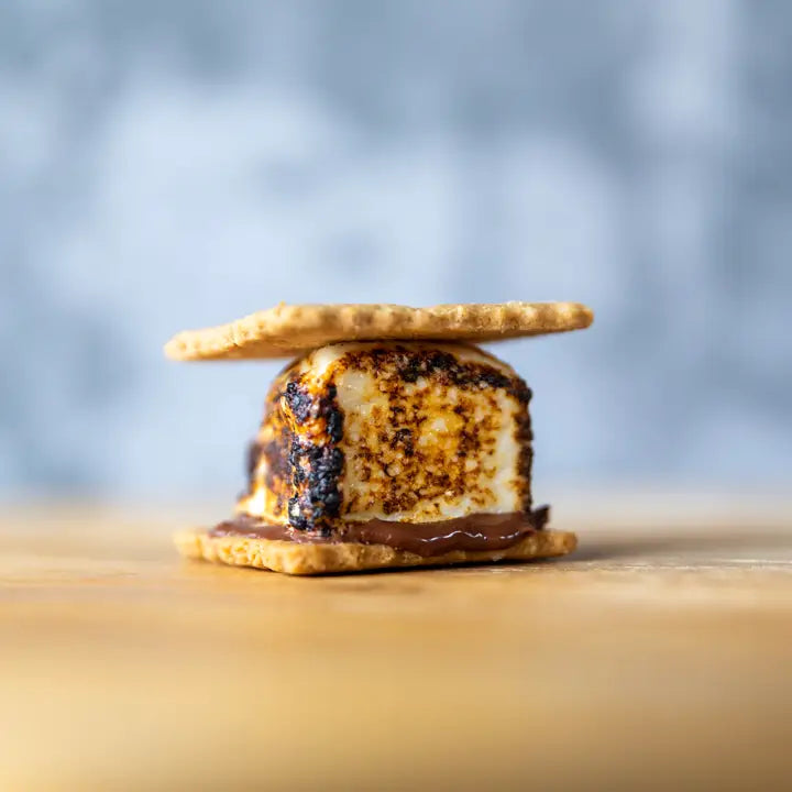 S'mores for Two