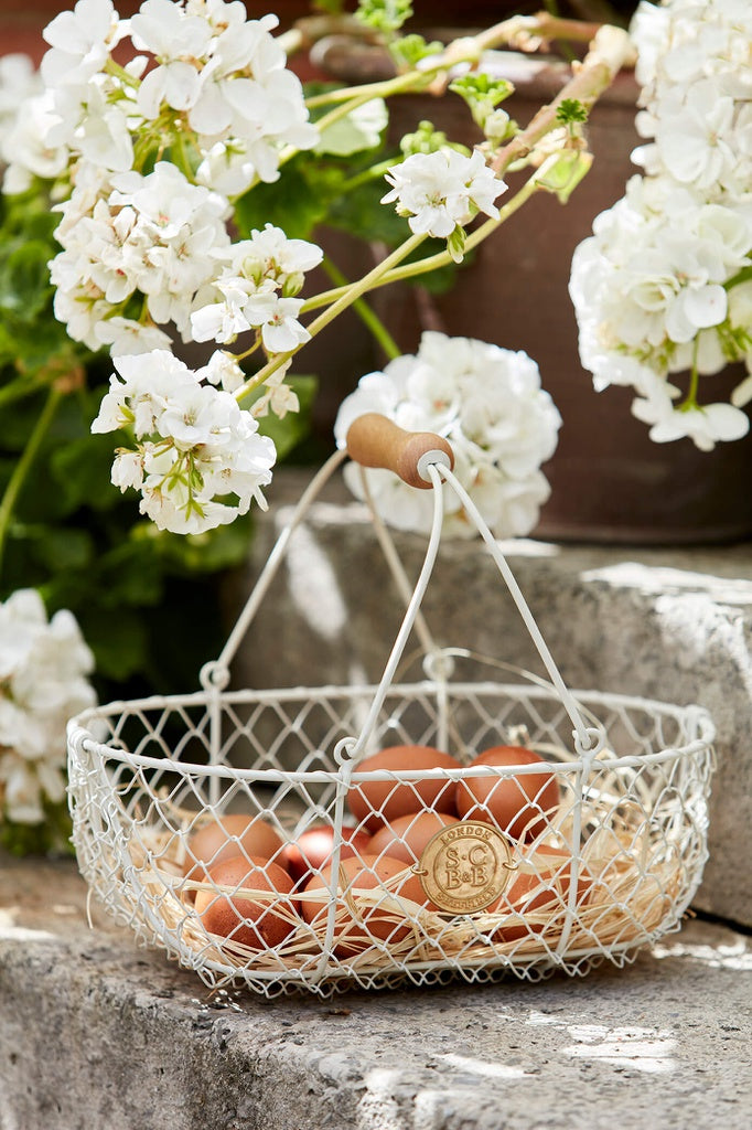 Harvesting Basket