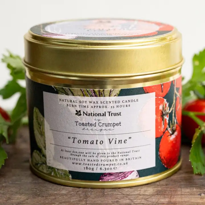 Scented candle in a tin with 'Tomato Vine' label on a wooden surface