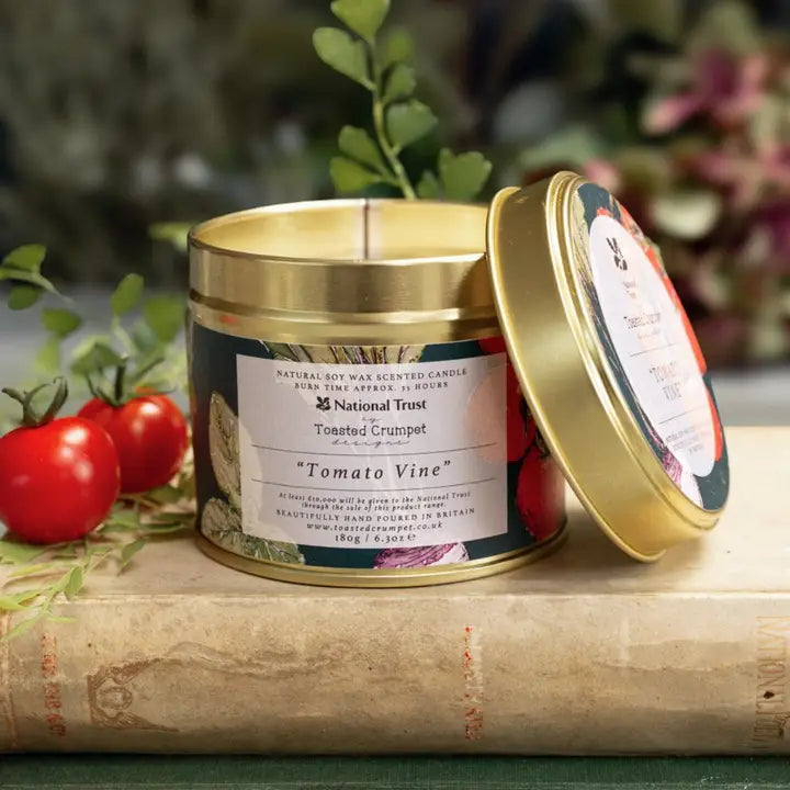 Scented candle in a metal tin with 'Tomato Vine' fragrance, National Trust branding, on a wooden surface with tomatoes and leaves.