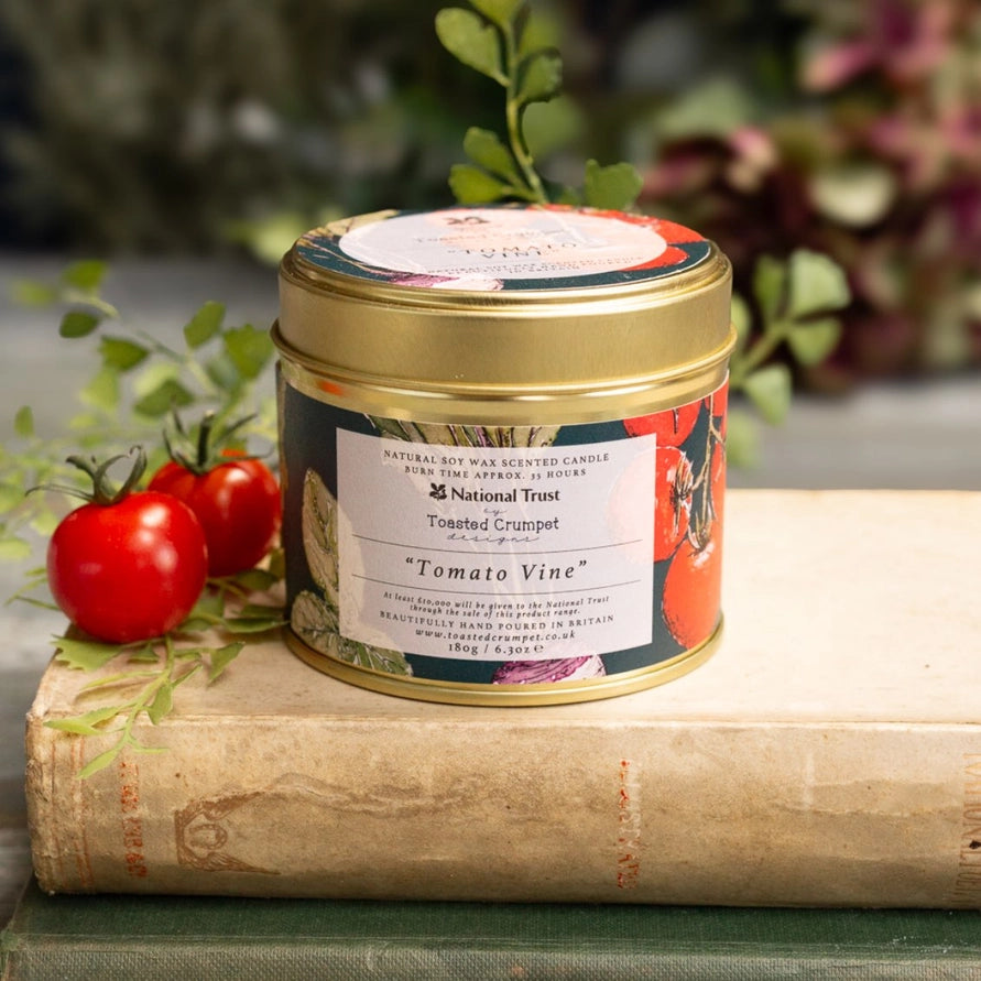Candle in a decorative tin with tomatoes and greenery on an old book