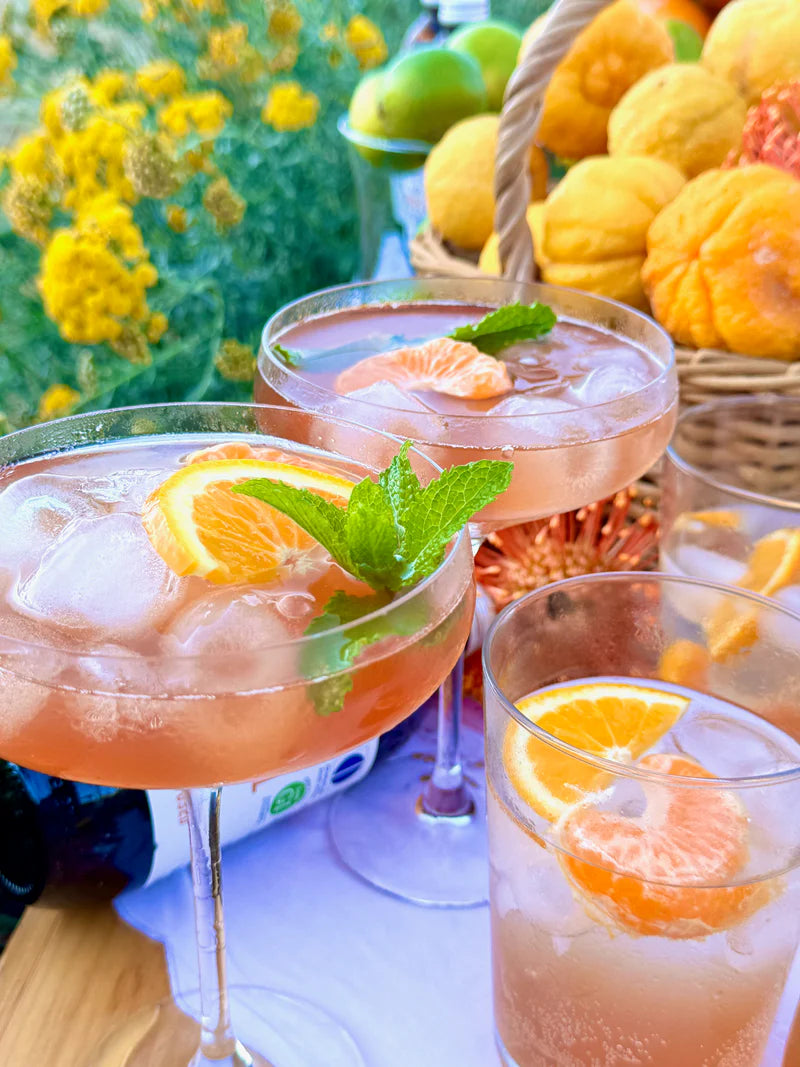 Cocktails with fruit and ice on a table with a garden background
