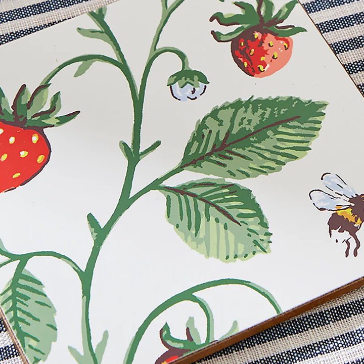 Illustration of strawberries and leaves on a white background