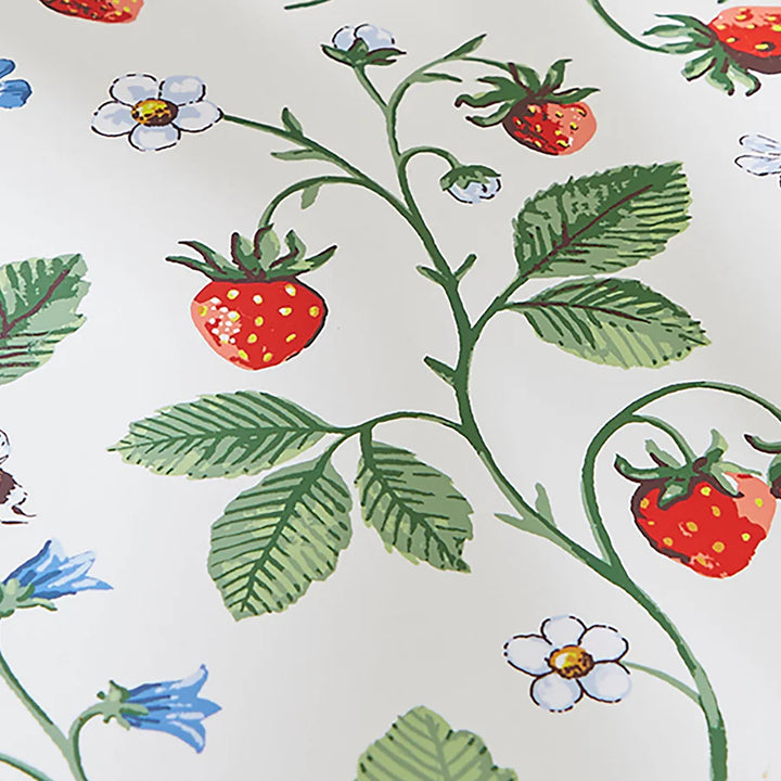 Close-up of strawberry plant with leaves and flowers on a white background