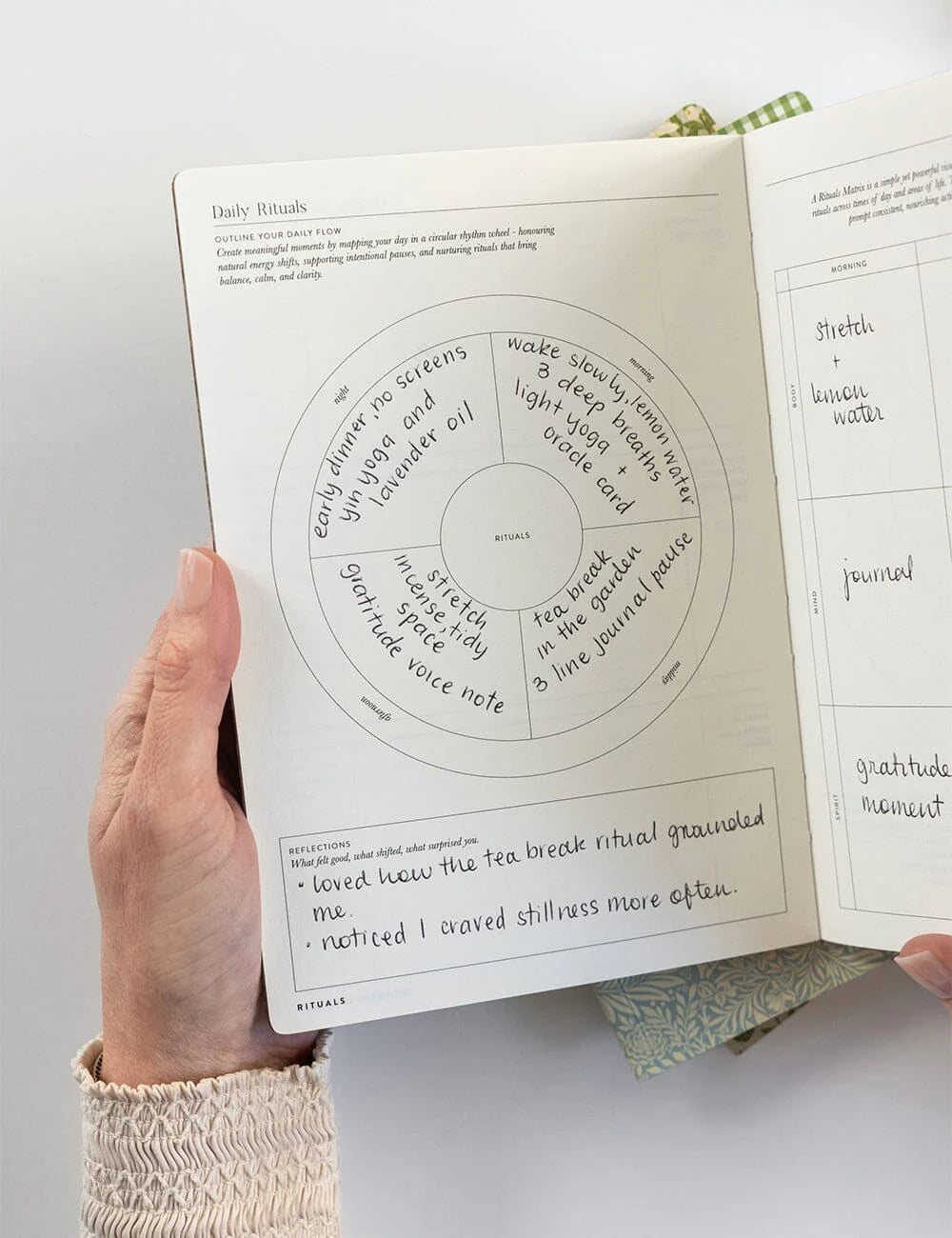 Hand holding a printed circular diagram with text on a white background