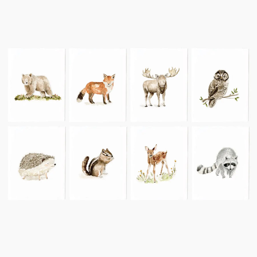 Illustrations of various forest animals on a white background