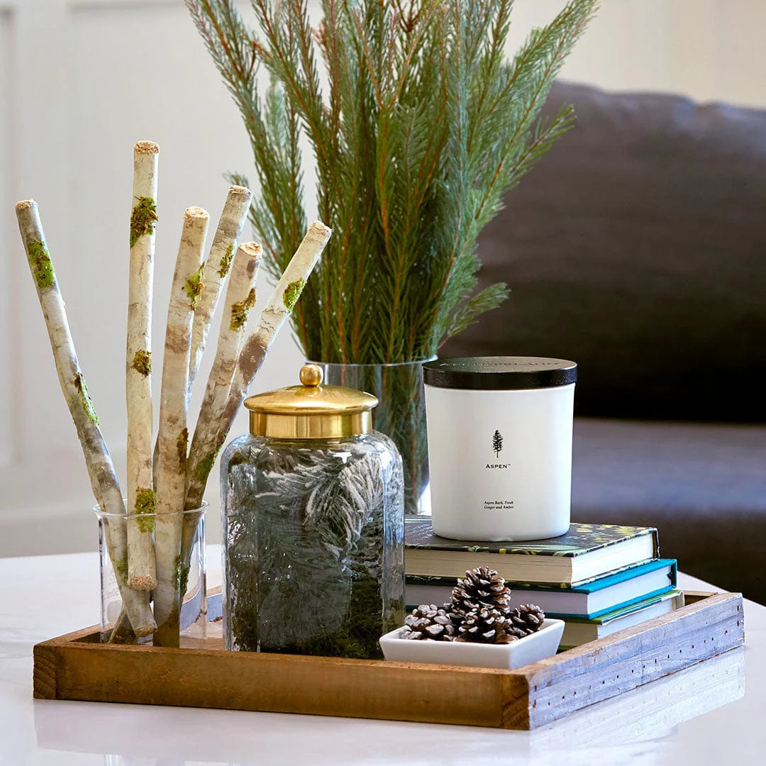 Decorative tray with candles, books, and plants on a table