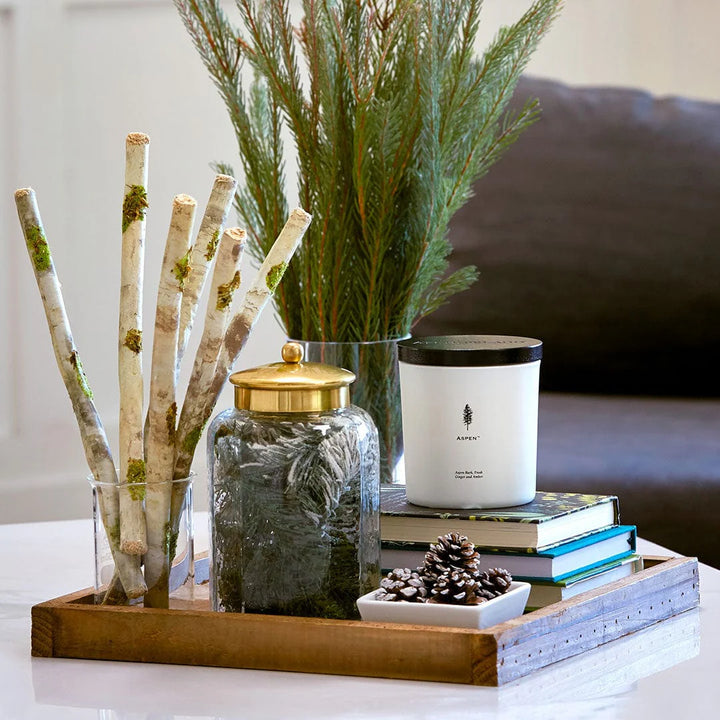 Decorative tray with candles, books, and plants on a table