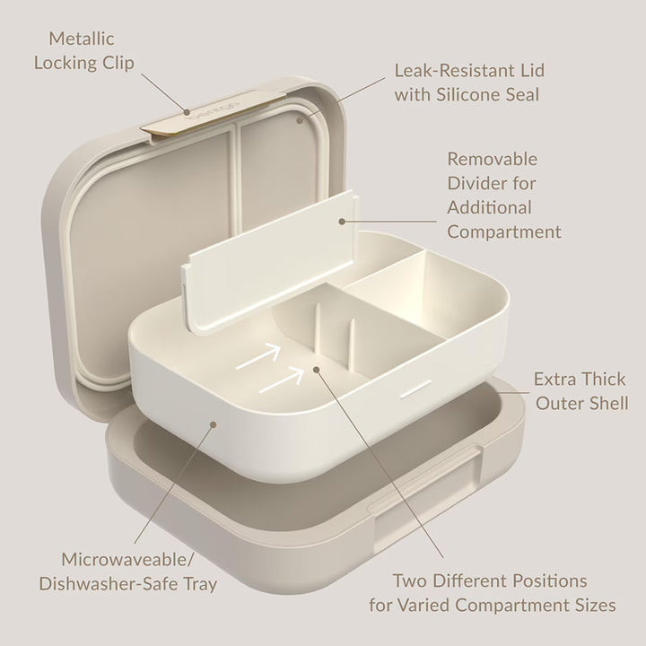 Sandstone food container with labeled features on a light gray background