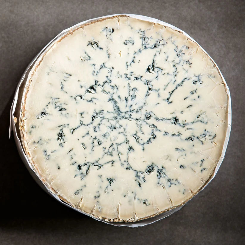 Blue cheese wheel on a dark background