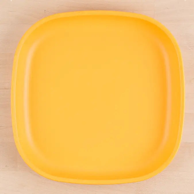 Re-Play Large Flat Plate