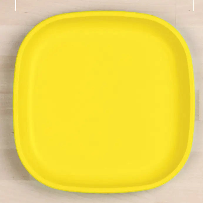 Re-Play Large Flat Plate